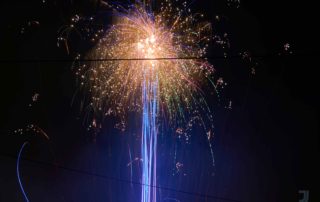 Fireworke_Flower_Blue