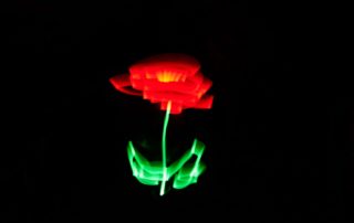 Lightpainting_Rose