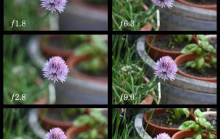 Depth of Field Apertures